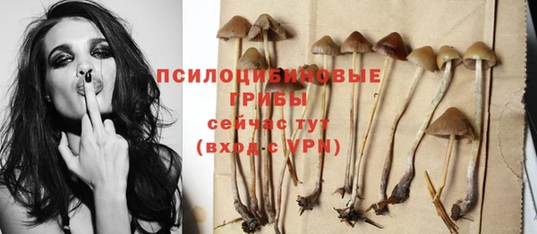 тгк Мегион