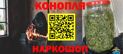 шишки Аргун