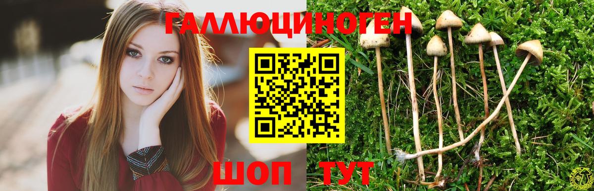 Галлюциногенные грибы мухоморы Заринск